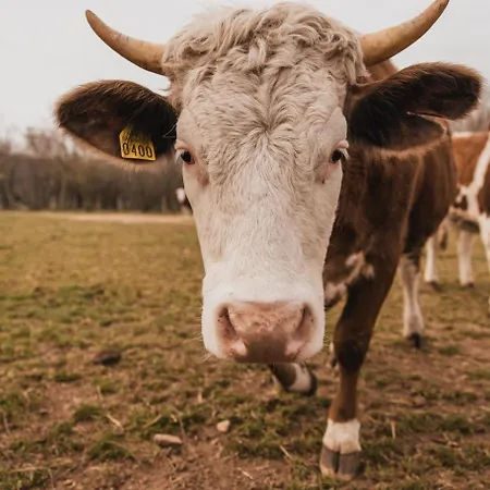 Borg Da Ocjs Agroturismo