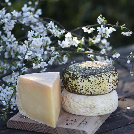 Borg Da Ocjs Agroturismo Cormòns