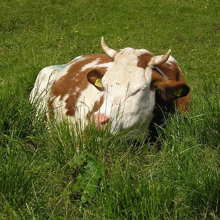 Agroturismo Borg Da Ocjs