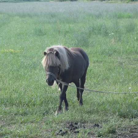 Borg Da Ocjs Agroturismo *