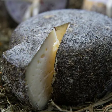 Agroturismo Borg Da Ocjs