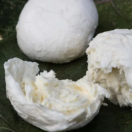 Borg Da Ocjs Agroturismo Cormòns