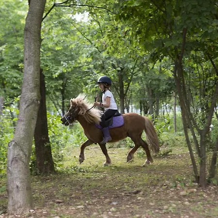 Agroturismo Borg Da Ocjs Cormòns