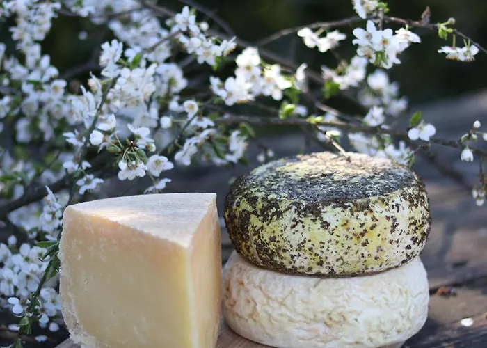 Borg Da Ocjs Bauernhof Cormòns