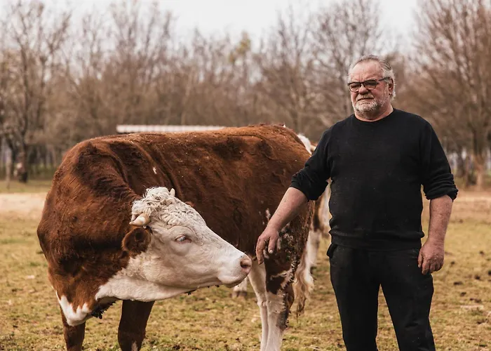 Bauernhof Borg Da Ocjs Cormòns