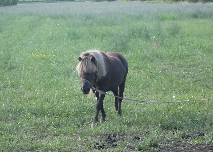Borg Da Ocjs Bauernhof *