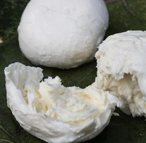 Borg Da Ocjs Bauernhof Cormòns