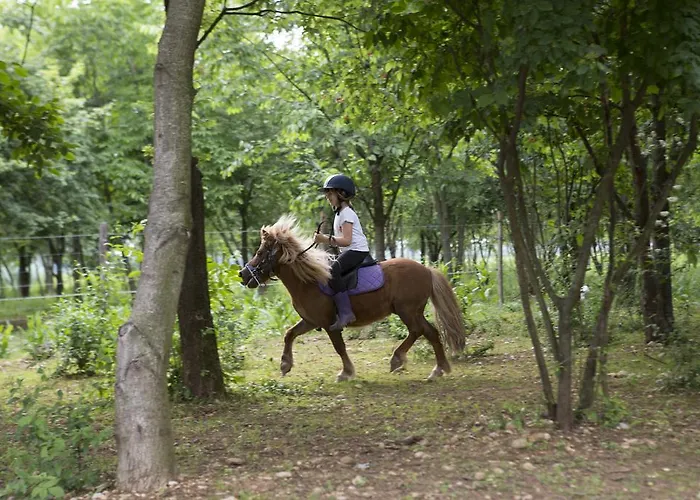 Bauernhof Borg Da Ocjs Cormòns